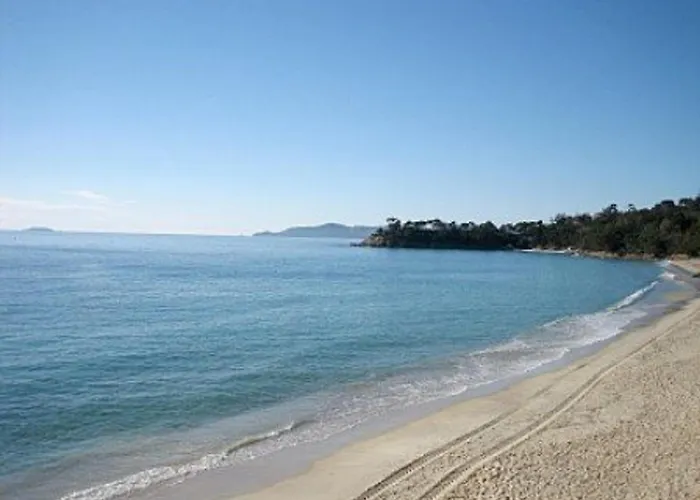 Cosy Avec Terrasse A 100m De La - 4 Couchages, Parking, Animaux Acceptes - Fr-1-251-572 Lejlighed