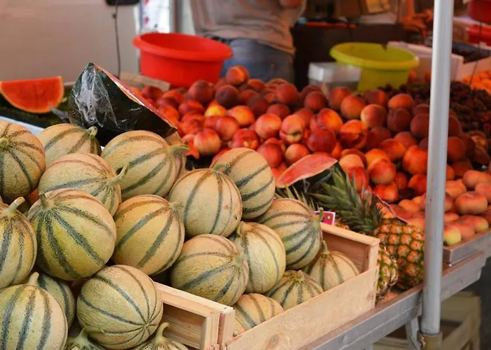 Cosy Avec Terrasse A 100m De La - 4 Couchages, Parking, Animaux Acceptes - Fr-1-251-572 Lejlighed *