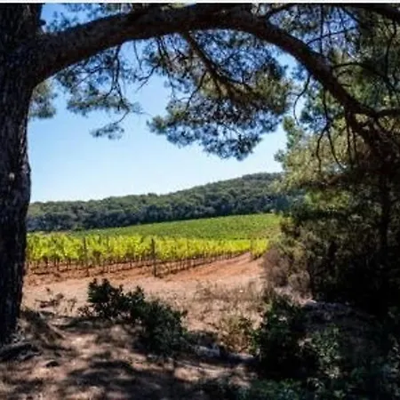 Cosy Avec Terrasse à 100m De La - 4 Couchages, Parking, Animaux Acceptés - Fr-1-251-572 Apartamento *