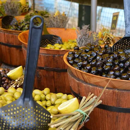 Apartment Cosy Avec Terrasse A 100m De La - 4 Couchages, Parking, Animaux Acceptes - Fr-1-251-572 Le Lavandou