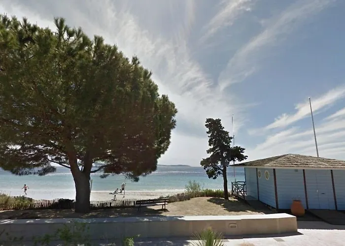 Cosy Avec Terrasse A 100m De La - 4 Couchages, Parking, Animaux Acceptes - Fr-1-251-572 Apartment Le Lavandou