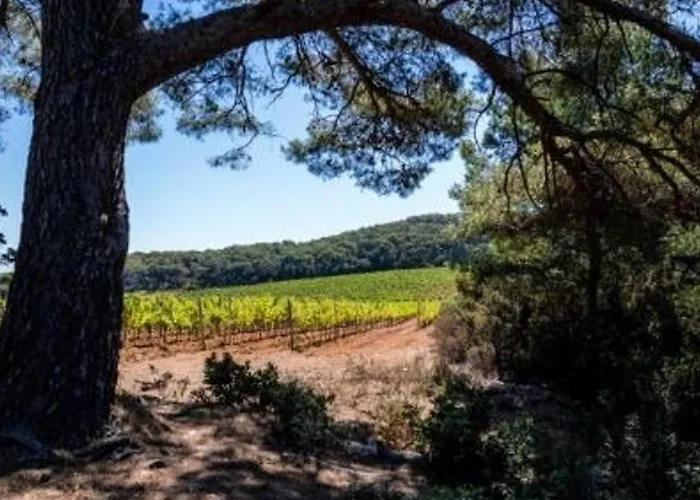 Cosy Avec Terrasse A 100m De La - 4 Couchages, Parking, Animaux Acceptes - Fr-1-251-572 Apartment *